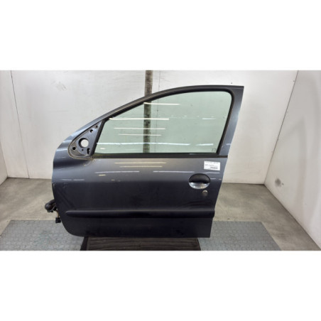 Porte avant gauche PEUGEOT 206+ Photo n°1