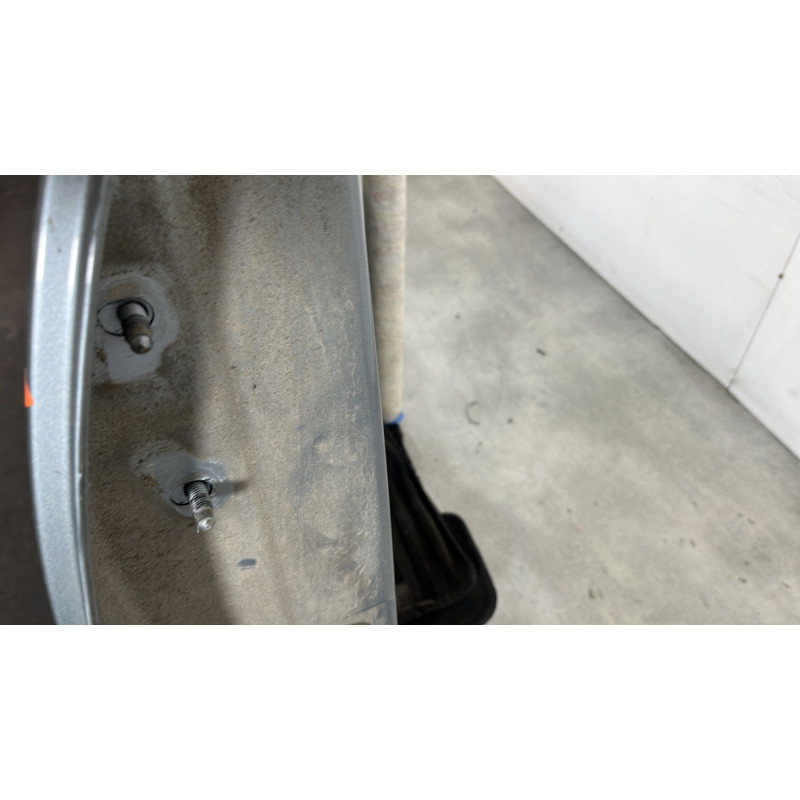 Porte arriere droit DACIA SANDERO 1 Photo n°5