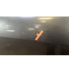 Porte arriere gauche RENAULT SCENIC 2