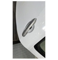 Porte arriere gauche RENAULT CLIO 3