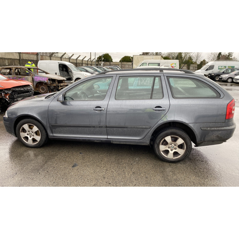 Porte arriere droit SKODA OCTAVIA 2 Photo n°12