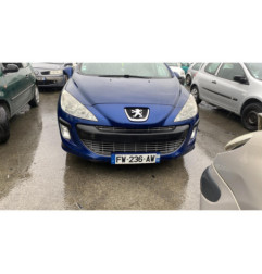 Porte arriere gauche PEUGEOT 308 1