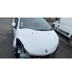 Porte arriere gauche PEUGEOT 208 1