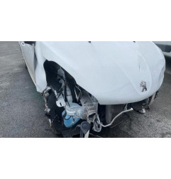 Porte arriere gauche PEUGEOT 208 1