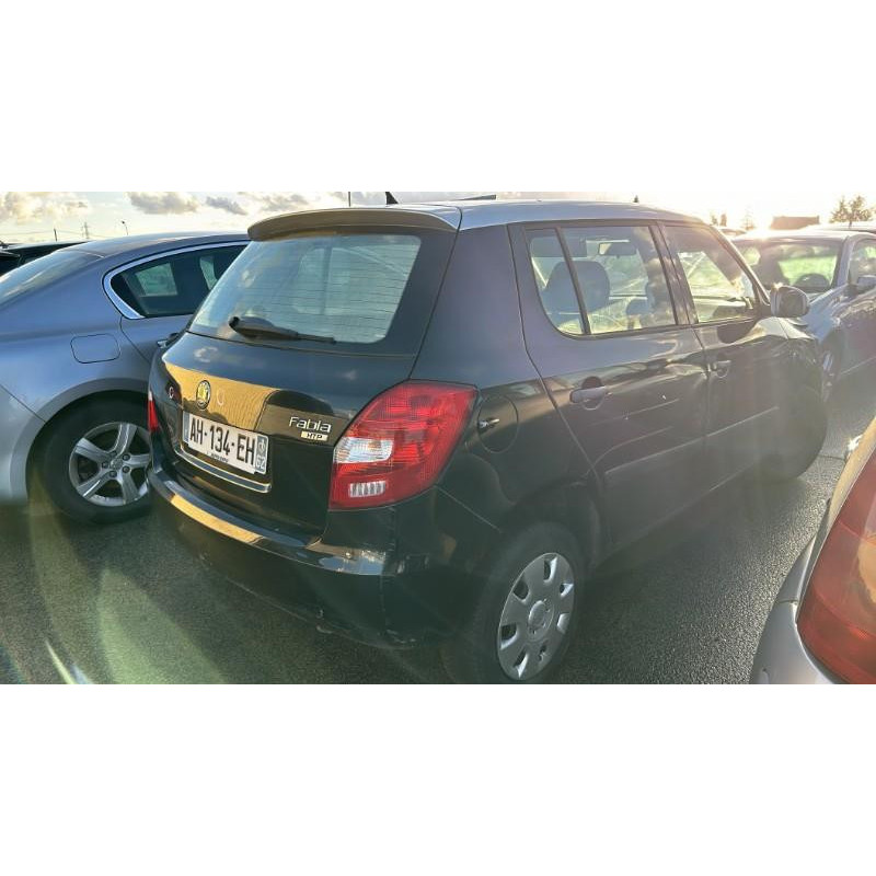 Porte arriere droit SKODA FABIA 2 Photo n°9