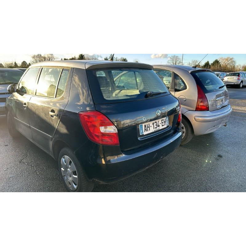 Porte arriere droit SKODA FABIA 2 Photo n°10