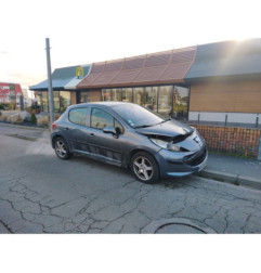 Porte arriere gauche PEUGEOT 207