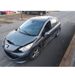 Porte arriere gauche PEUGEOT 207