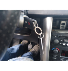Porte arriere gauche PEUGEOT 207