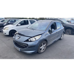Porte arriere gauche PEUGEOT 207