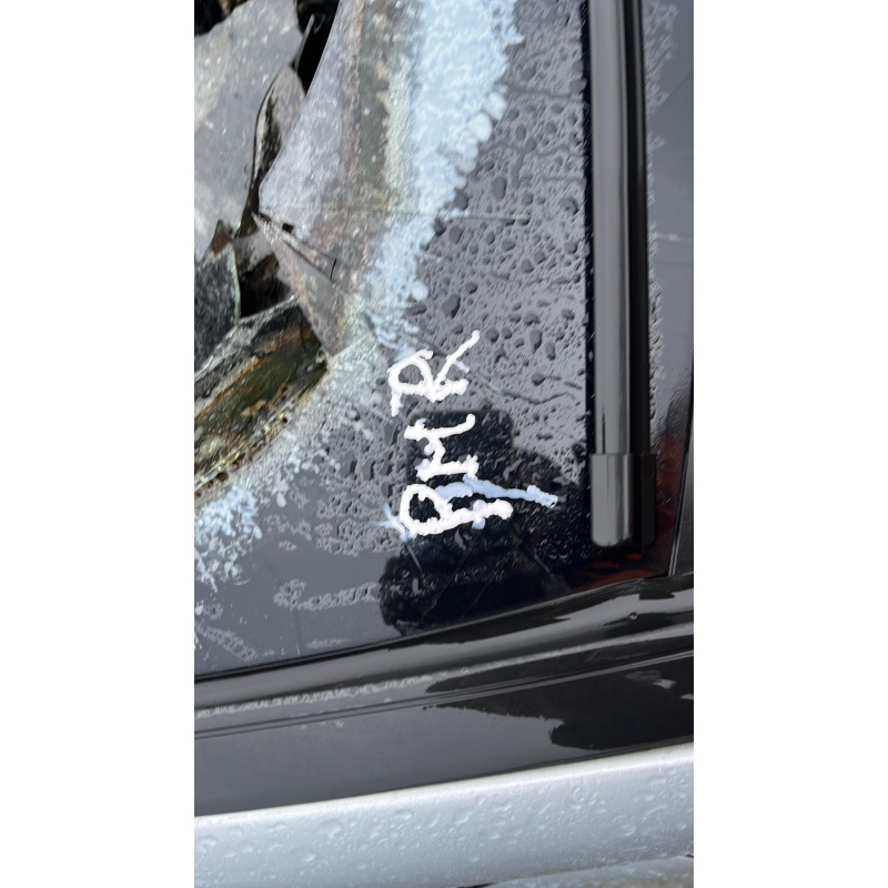 Porte avant gauche MERCEDES CLASSE R 251 Photo n°7