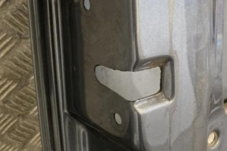 Porte avant gauche VOLKSWAGEN NEW BEETLE 1