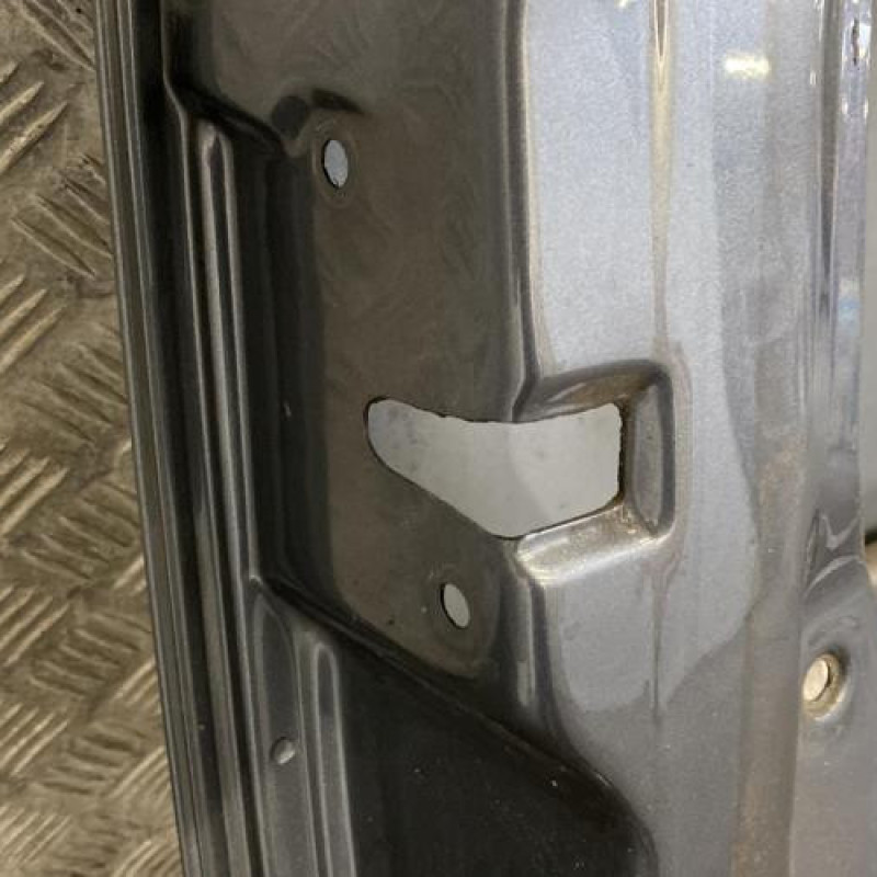Porte avant gauche VOLKSWAGEN NEW BEETLE 1 Photo n°4