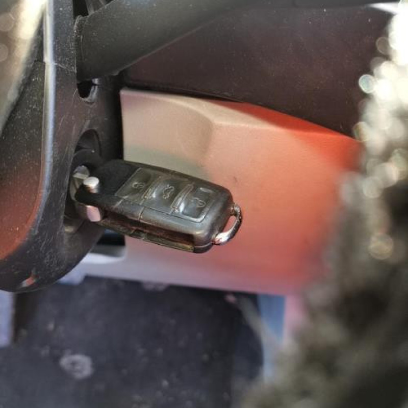 Porte avant gauche VOLKSWAGEN NEW BEETLE 1 Photo n°16