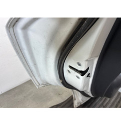 Porte arriere gauche NISSAN JUKE 1