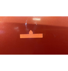 Porte avant droit RENAULT SCENIC 2 Photo n°1