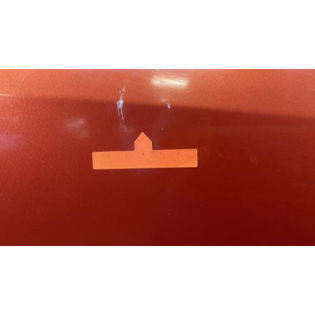 Porte avant droit RENAULT SCENIC 2 Photo n°1