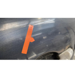 Porte avant gauche RENAULT SCENIC 2