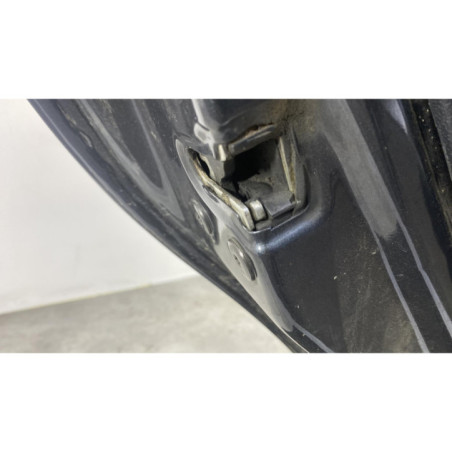 Porte arriere gauche DACIA SANDERO 1 Photo n°1