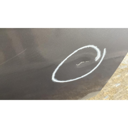 Porte avant gauche RENAULT MEGANE 2