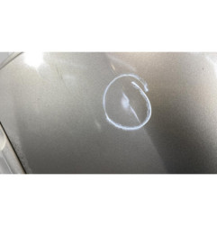 Porte arriere gauche RENAULT CLIO 3 Photo n°1