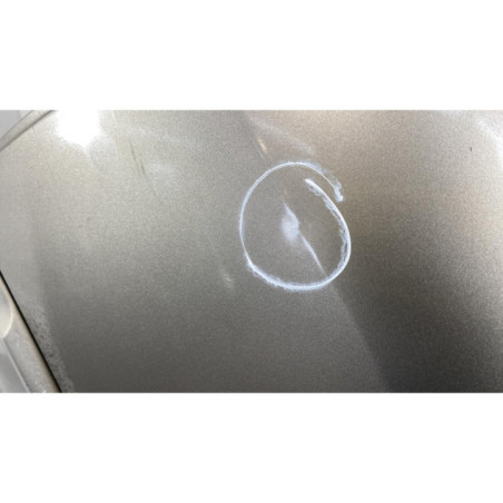 Porte arriere gauche RENAULT CLIO 3 Photo n°1
