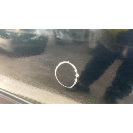 Porte arriere gauche RENAULT LAGUNA 3