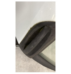 Porte arriere gauche SMART FORFOUR 1 Photo n°1