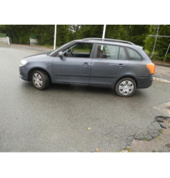 Porte arriere gauche SKODA FABIA 2