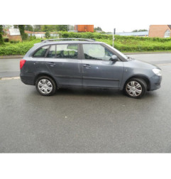 Porte arriere gauche SKODA FABIA 2
