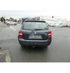 Porte arriere gauche SKODA FABIA 2