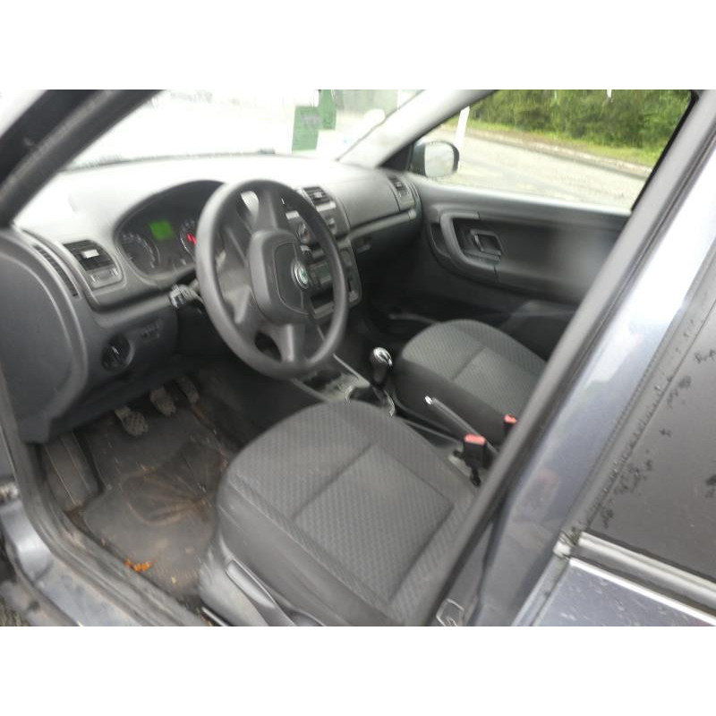 Porte arriere gauche SKODA FABIA 2 Photo n°14