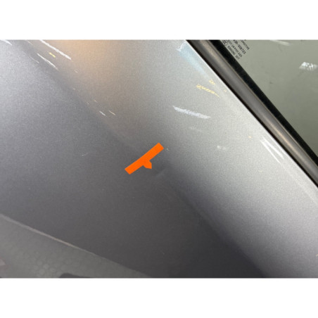 Porte arriere gauche PEUGEOT 2008 1