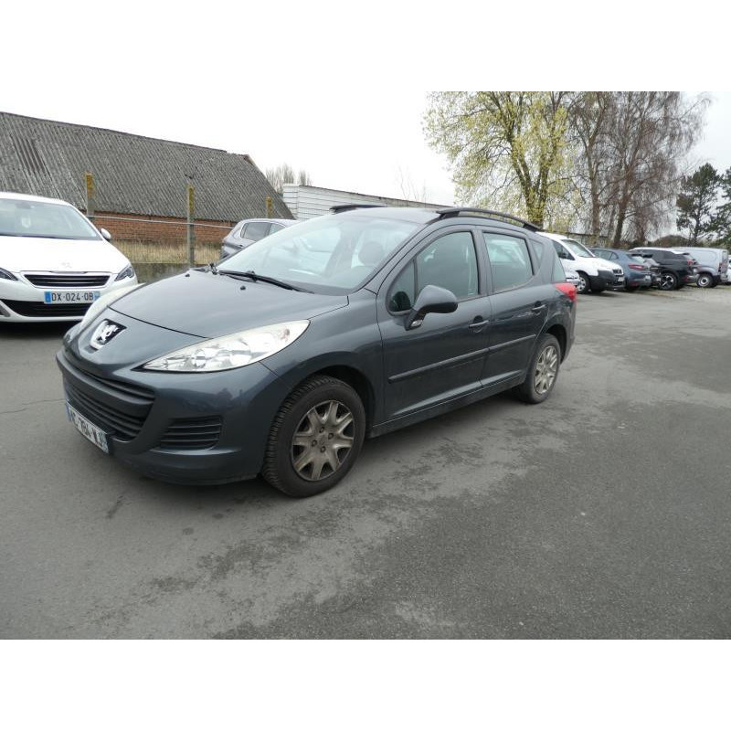Porte arriere gauche PEUGEOT 207 Photo n°13