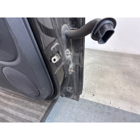 Porte arriere gauche DACIA SANDERO 1