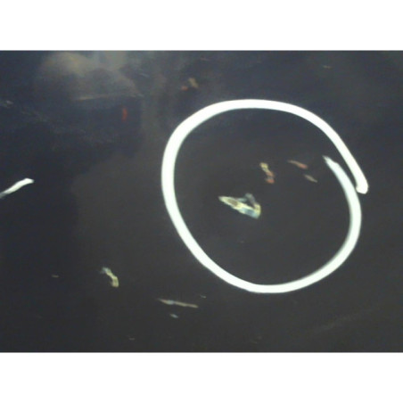 Porte avant droit ROVER 75