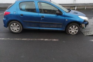 Neiman PEUGEOT 206+