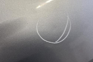 Porte avant gauche OPEL ZAFIRA A