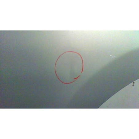 Porte arriere gauche HYUNDAI SANTA FE 1