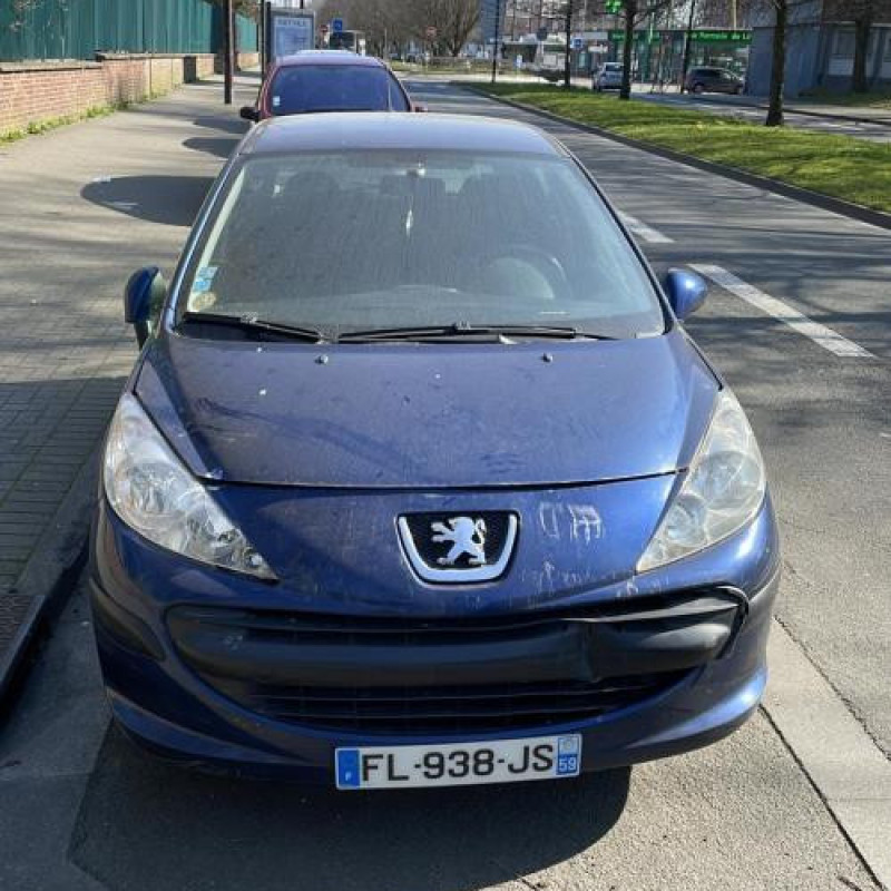 Porte avant droit PEUGEOT 207 Photo n°8