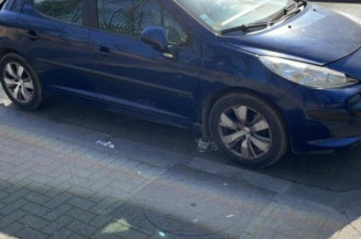 Porte avant droit PEUGEOT 207