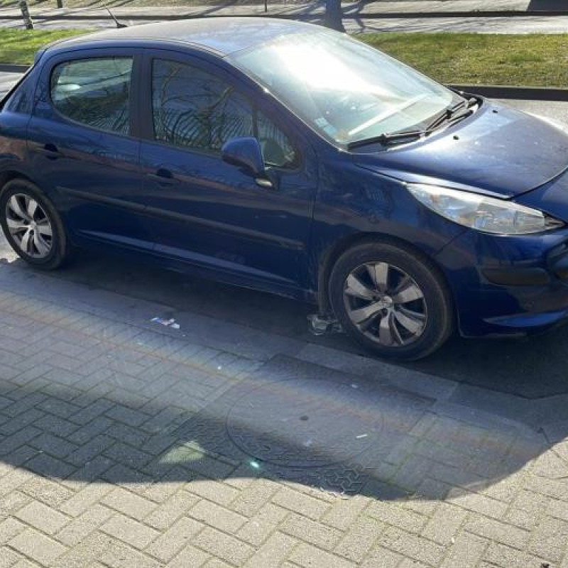 Porte avant droit PEUGEOT 207 Photo n°9
