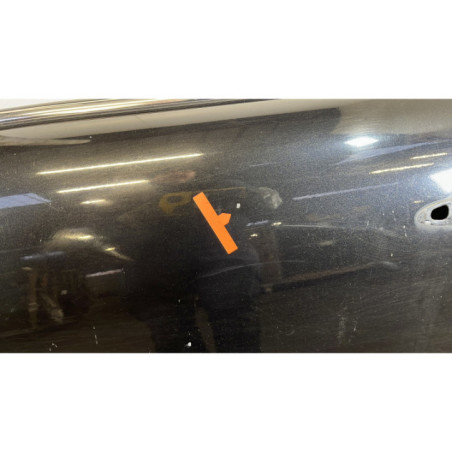 Porte avant gauche MINI MINI 1 R50/R53