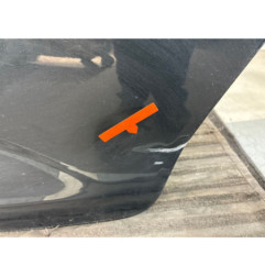 Porte arriere gauche CITROEN C3 2