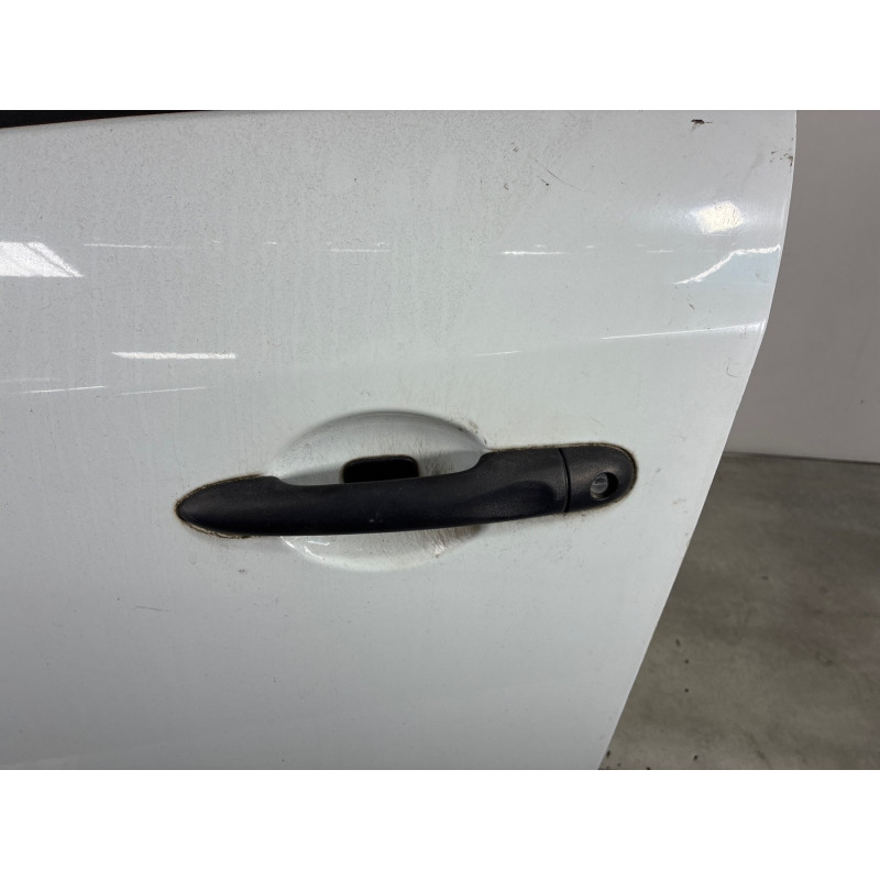 Porte avant gauche RENAULT MEGANE 3 Photo n°1