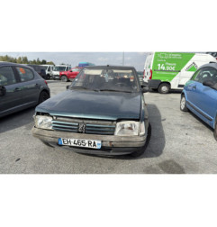 Porte avant gauche PEUGEOT 205