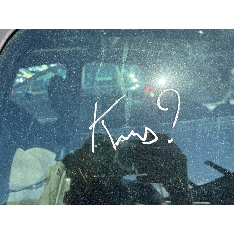Feu arriere principal droit (feux) CITROEN XSARA PICASSO Photo n°20