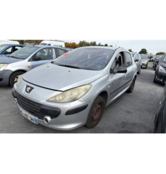 Porte arriere gauche PEUGEOT 307