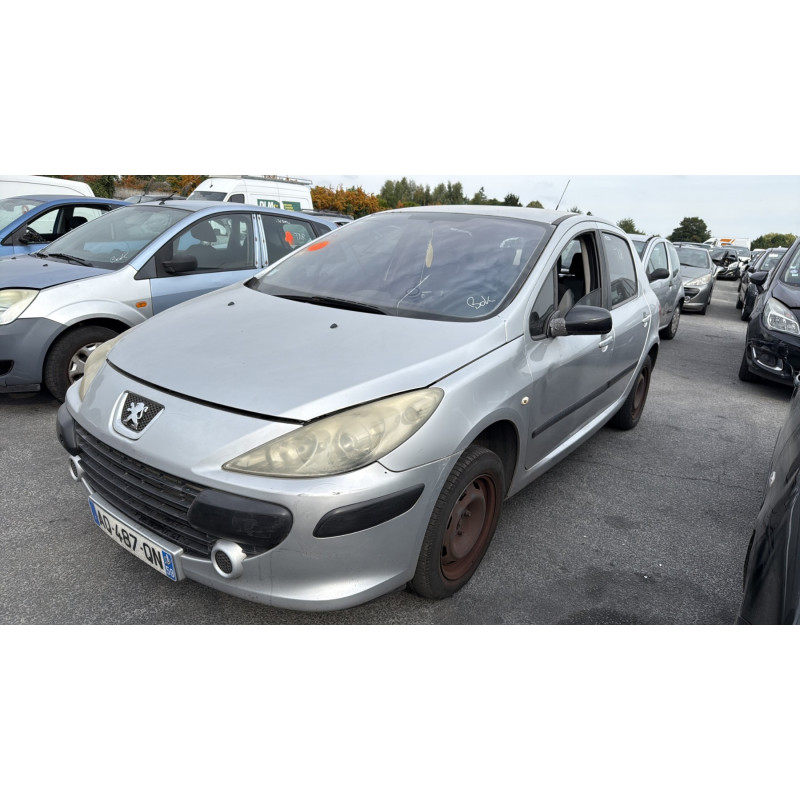 Porte arriere gauche PEUGEOT 307 Photo n°9