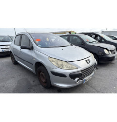 Porte arriere gauche PEUGEOT 307